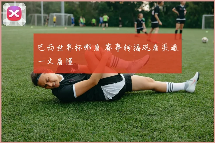 巴西世界杯哪看 赛事转播观看渠道一文看懂