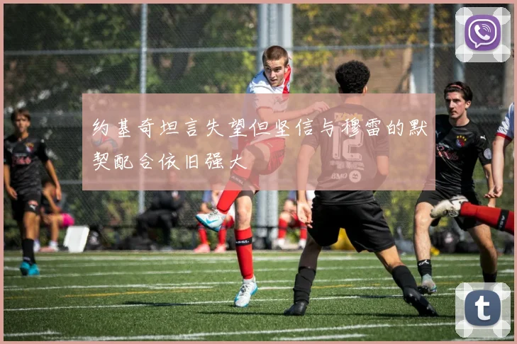 约基奇坦言失望但坚信与穆雷的默契配合依旧强大