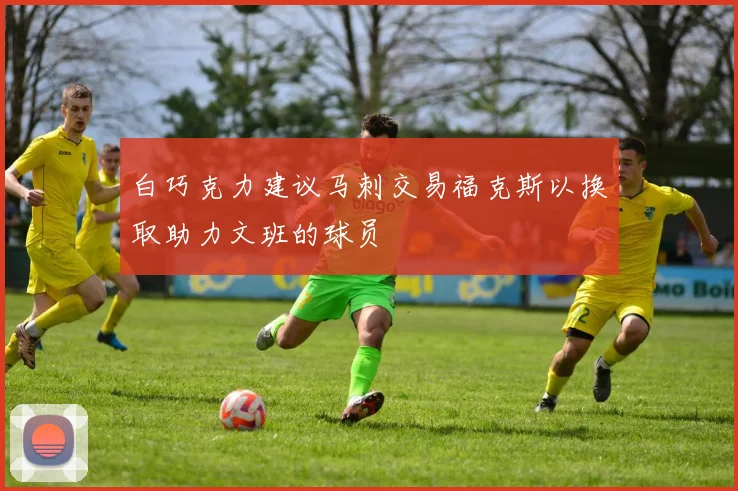 白巧克力建议马刺交易福克斯以换取助力文班的球员